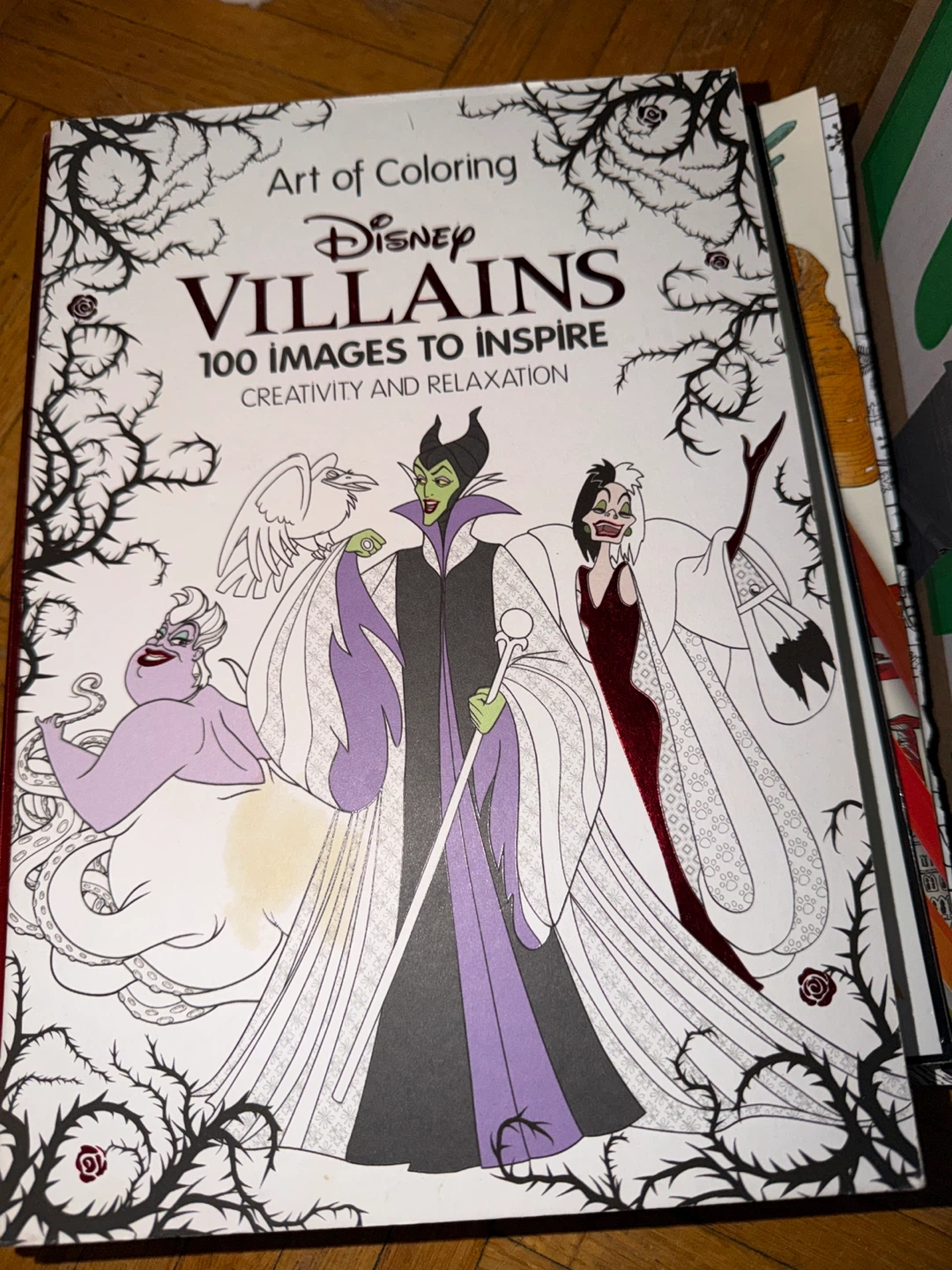 Disney Villains Art of Coloring Book