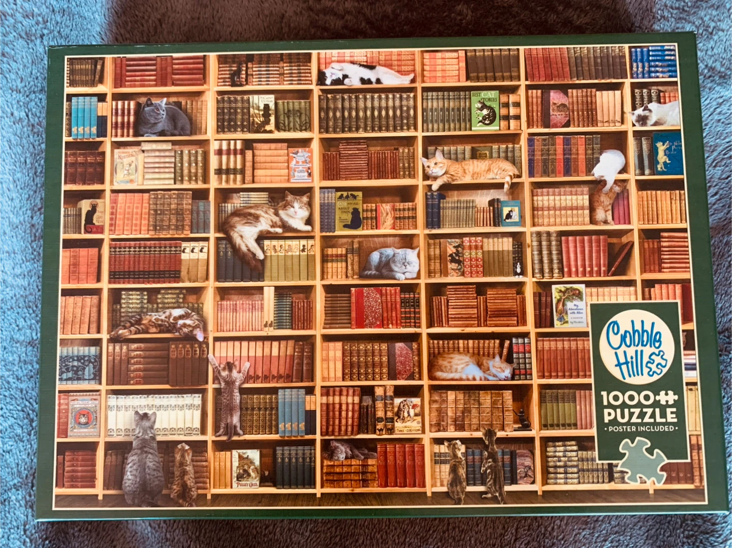 Cobble Hill The Cat Library 1000 Piece Jigsaw Puzzle