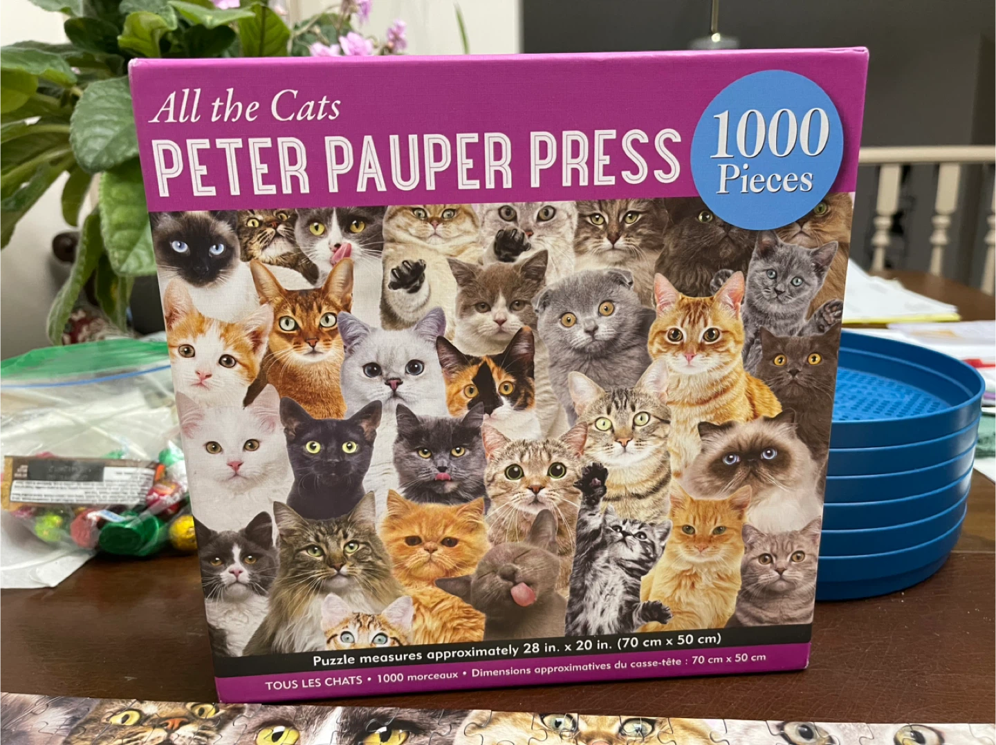 Peter Pauper Press 1000-Piece Cat Puzzle