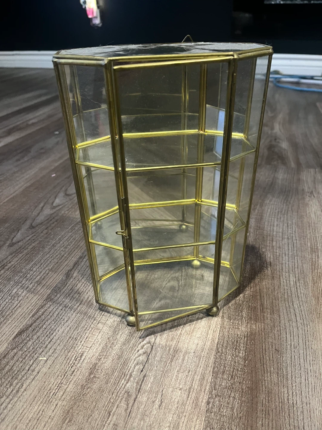 Vintage Gold Trim Glass Display Case