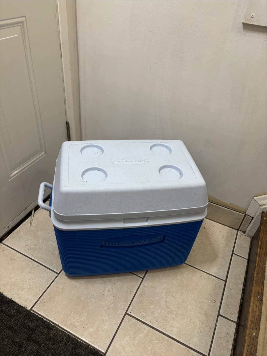 🥕 Rubbermaid 34 Quart Ice Chest - Blue