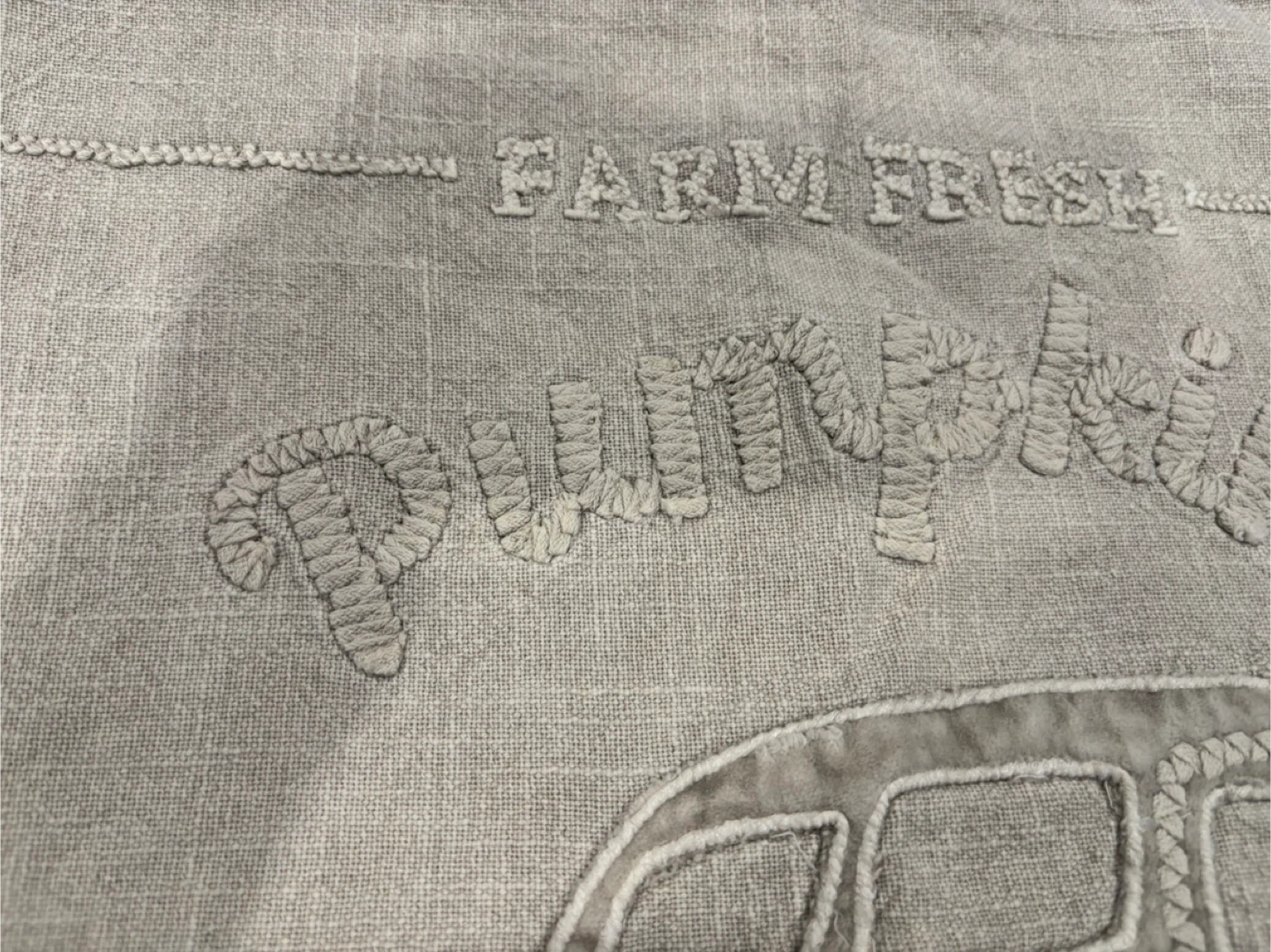 Bee & Willow Farm Fresh Pumpkins throw Pillow Cover 🥕 - photo 3