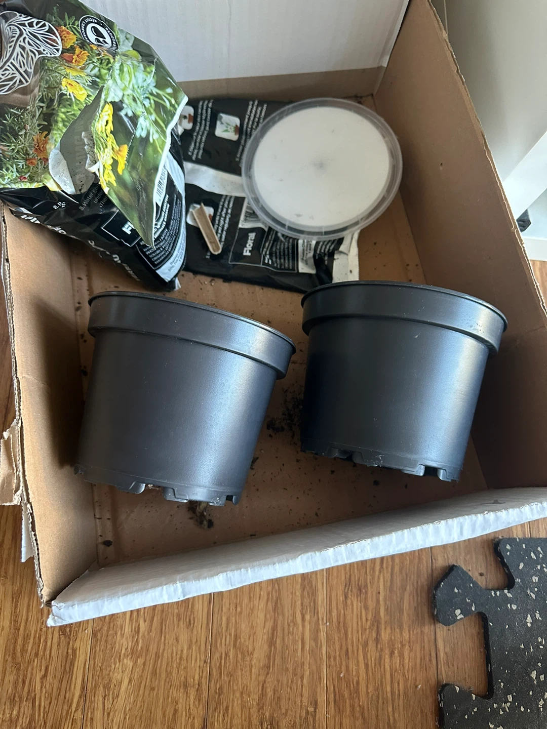 2 Plant pots 🥕