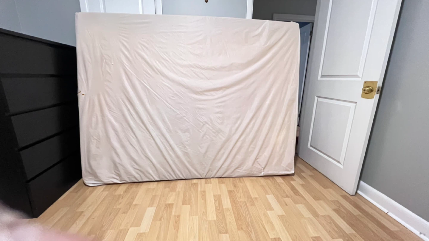 Free Queen Mattress - photo 2