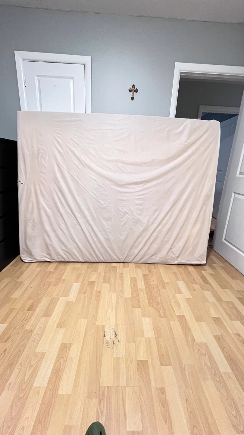 Free Queen Mattress