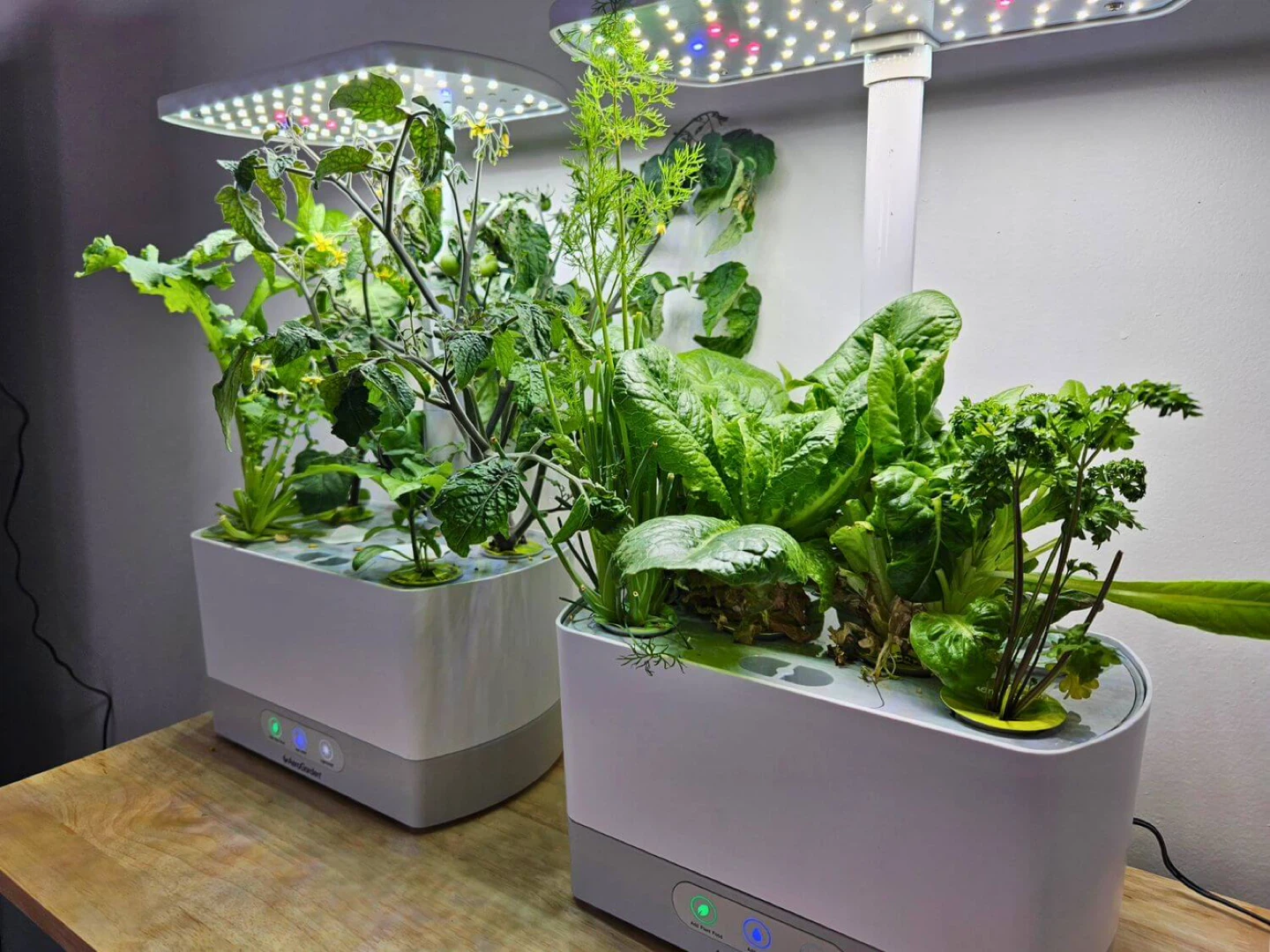 AeroGarden Indoor Garden System