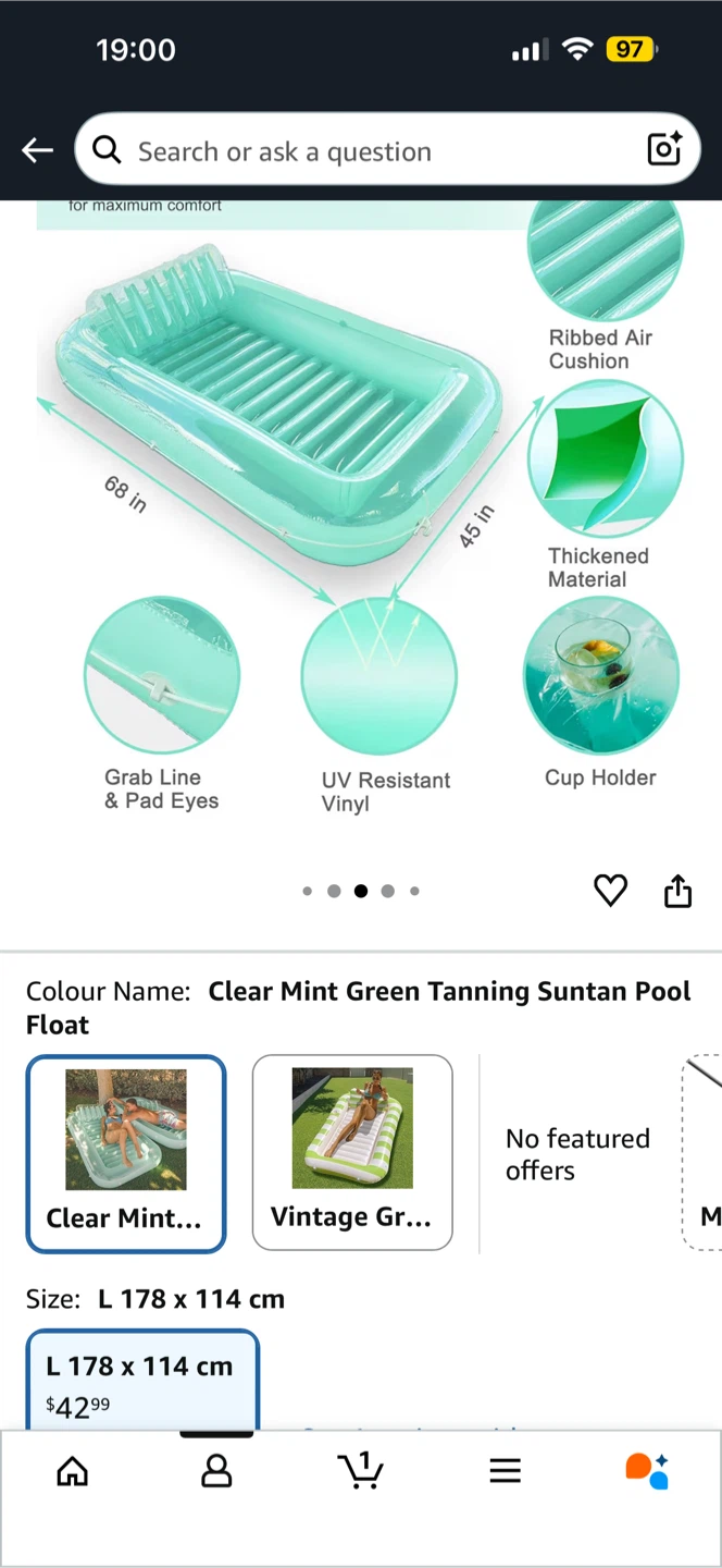 Pool Float, flippers - photo 2
