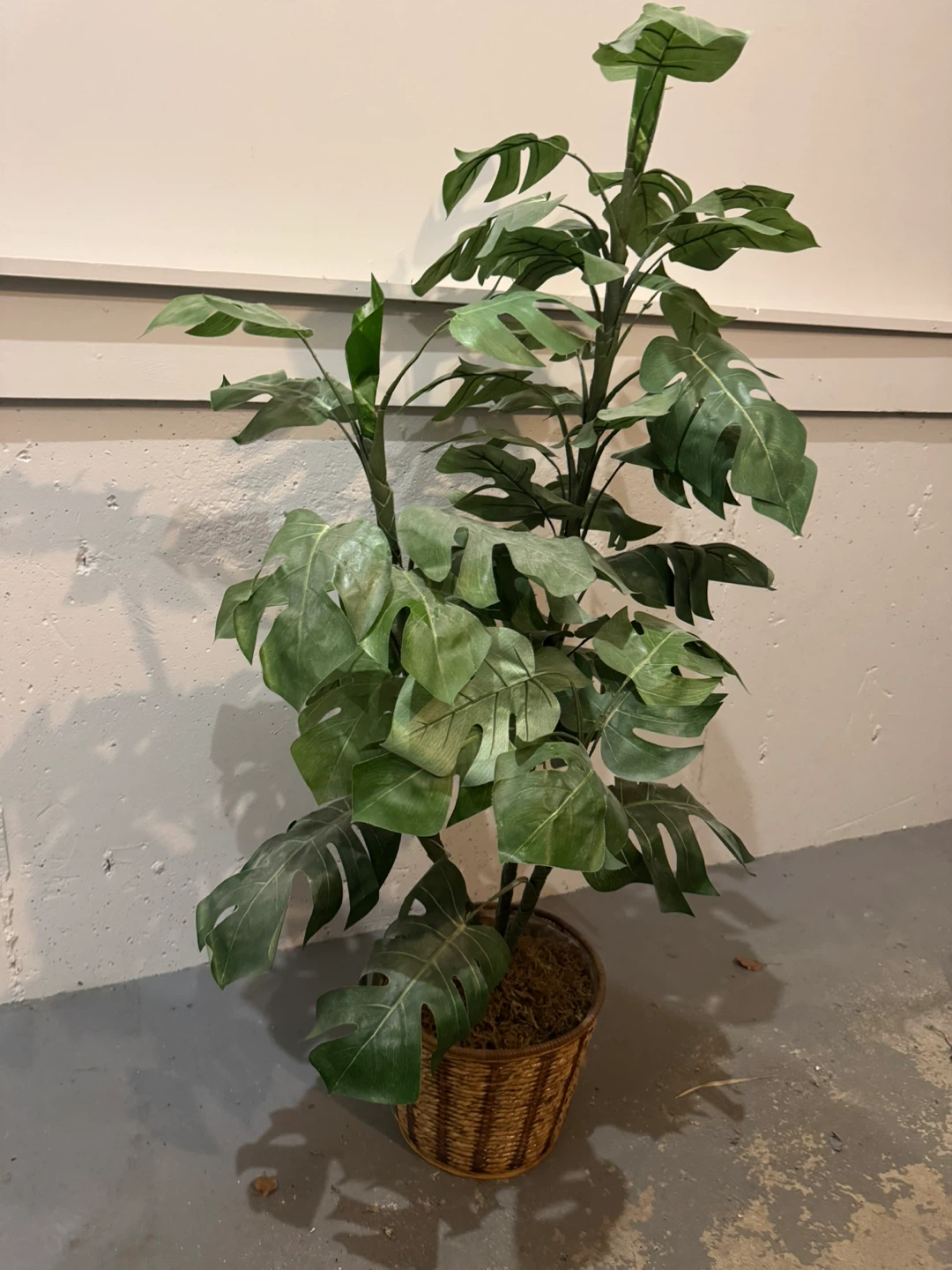 Faux Monstera Plant