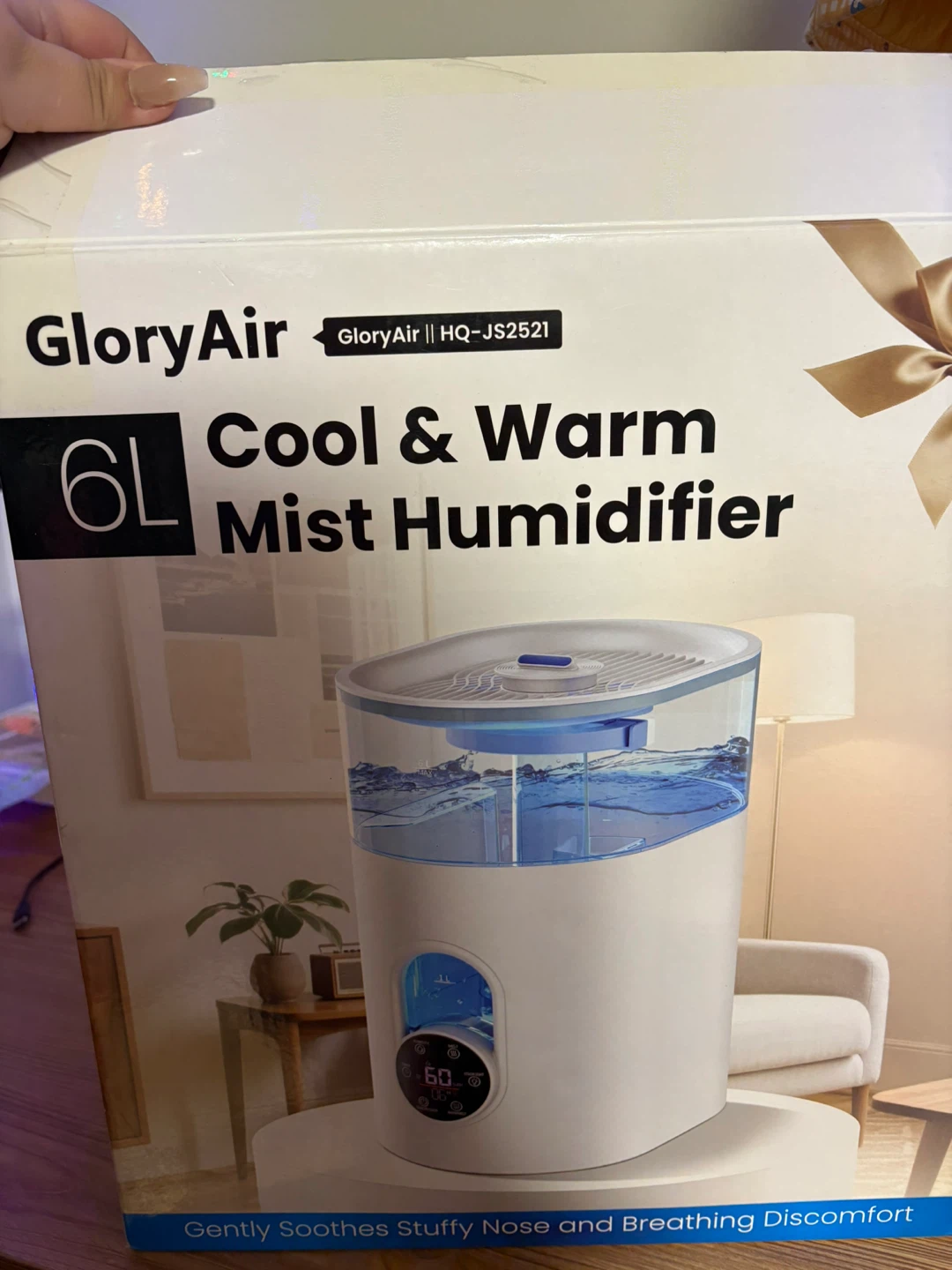 GloryAir 6L Cool & Warm Mist Humidifier