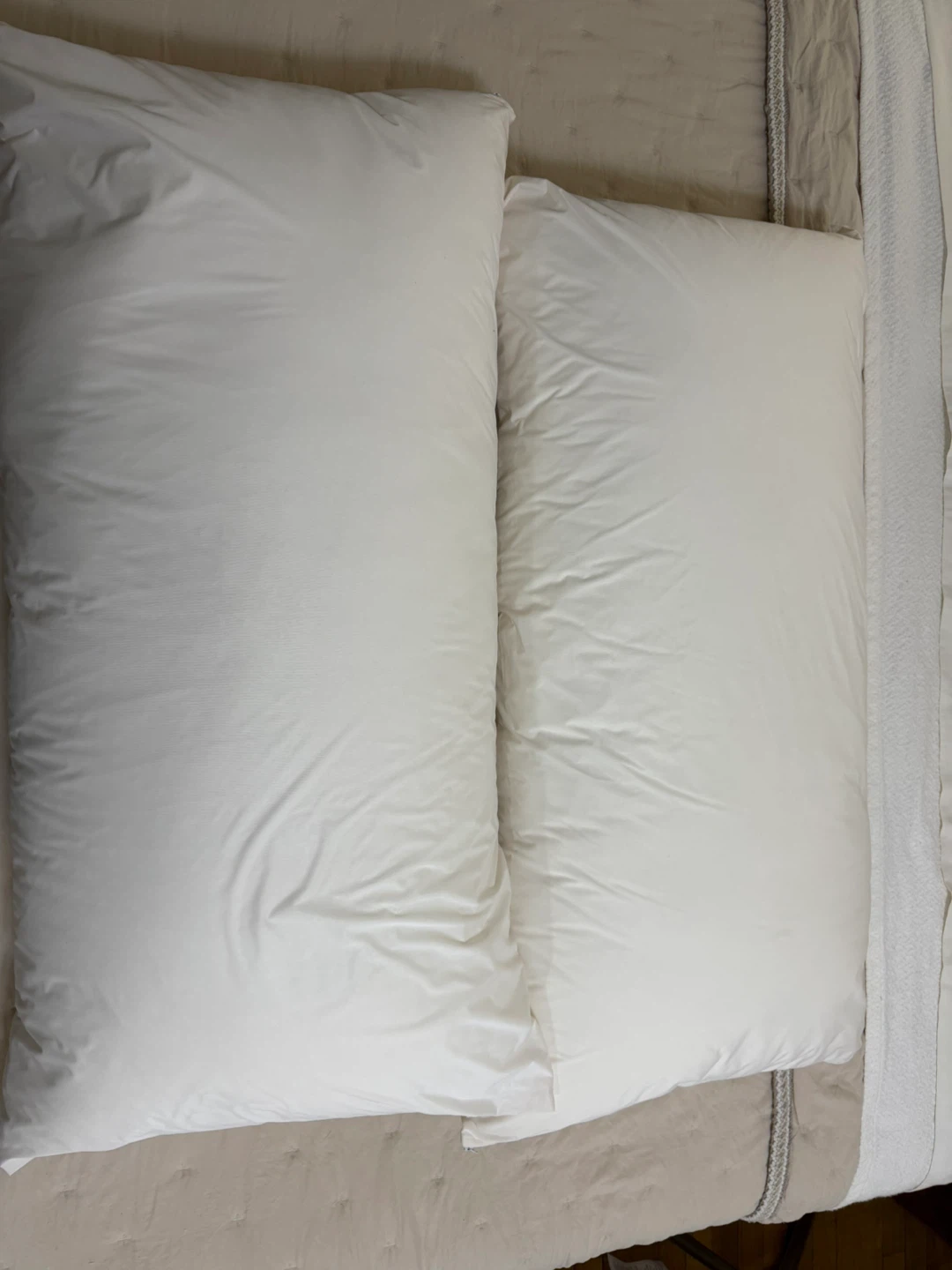 King Size White Pillows with protective cover (Set of 2)