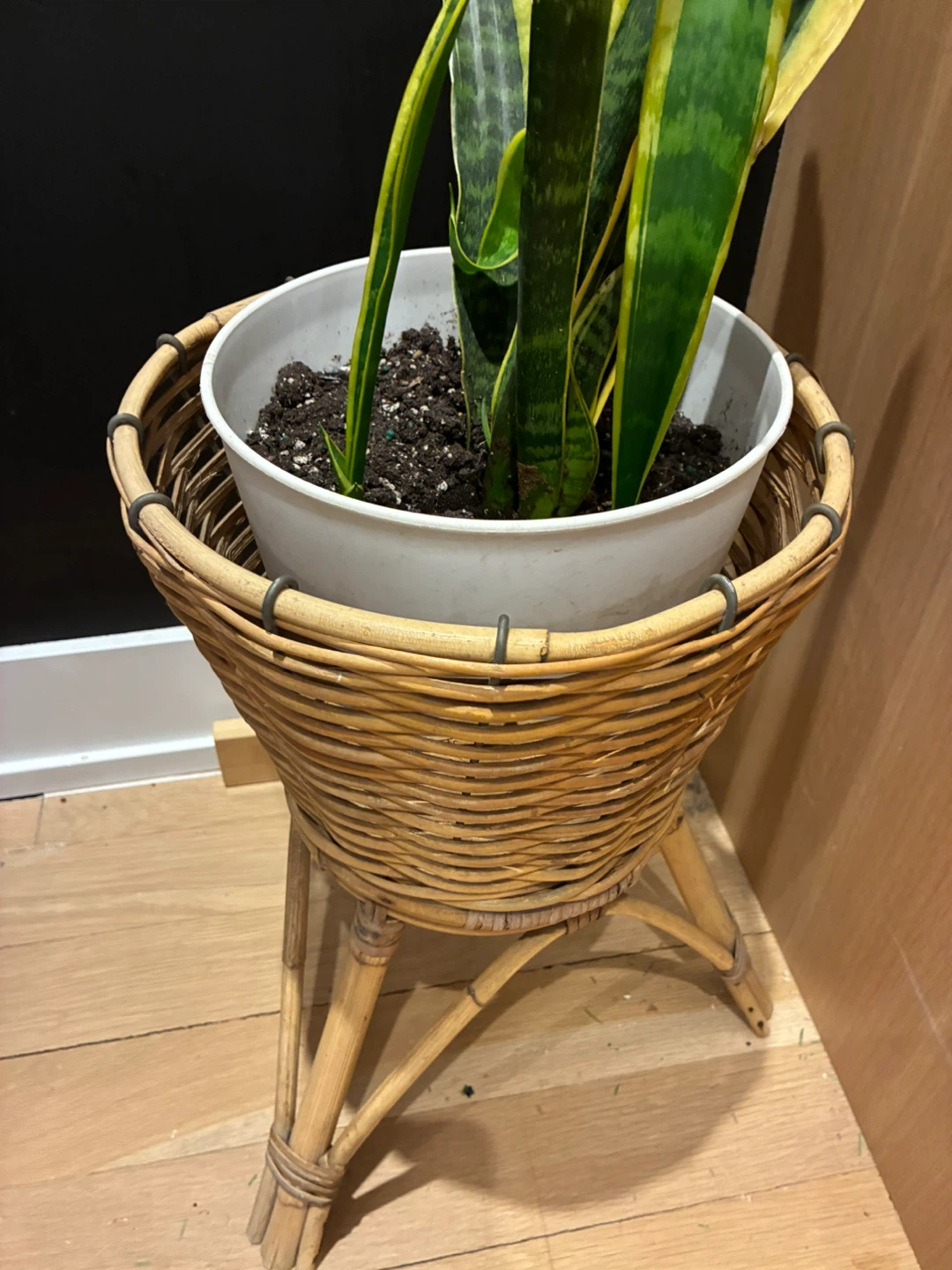 Wicker Plant Stand - photo 2