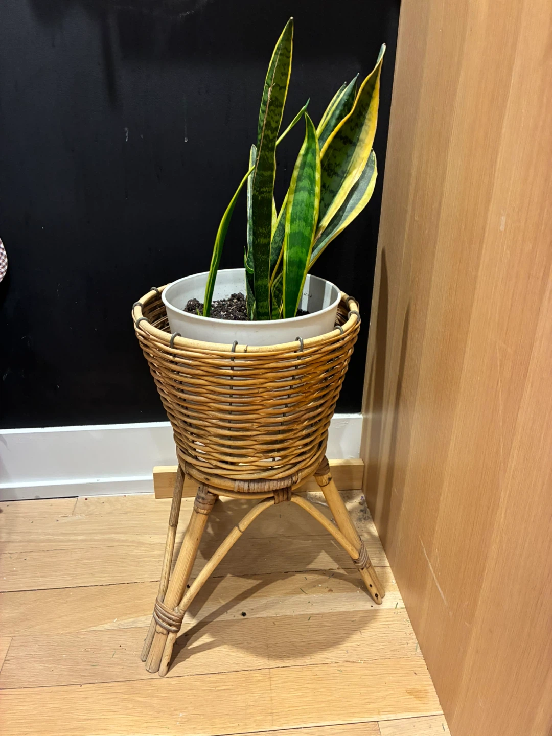 Wicker Plant Stand