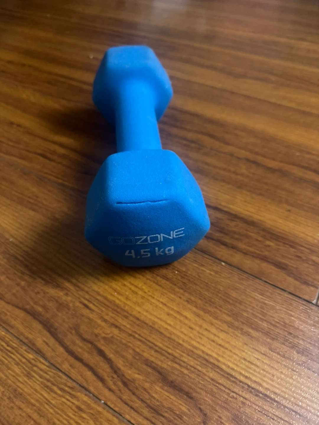 GOZONE 4.5 kg Dumbbell - Blue