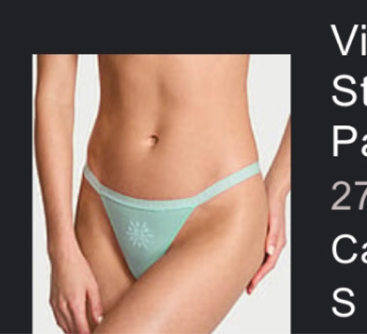 Victoria's Secret Canal Blue Snowflake V-String Panty - S