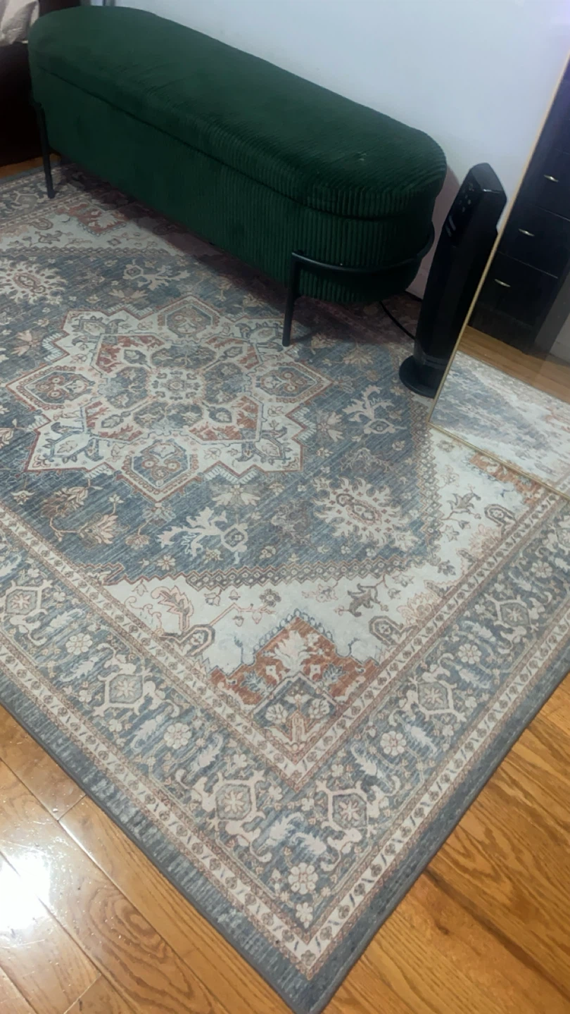 Blue & Beige Area Rug - photo 2