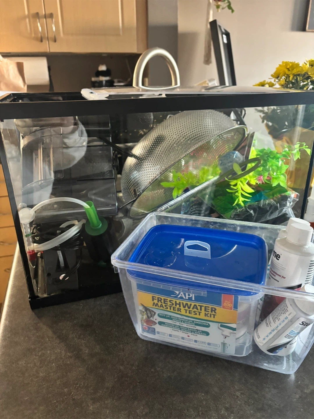Aquarium Starter Bundle