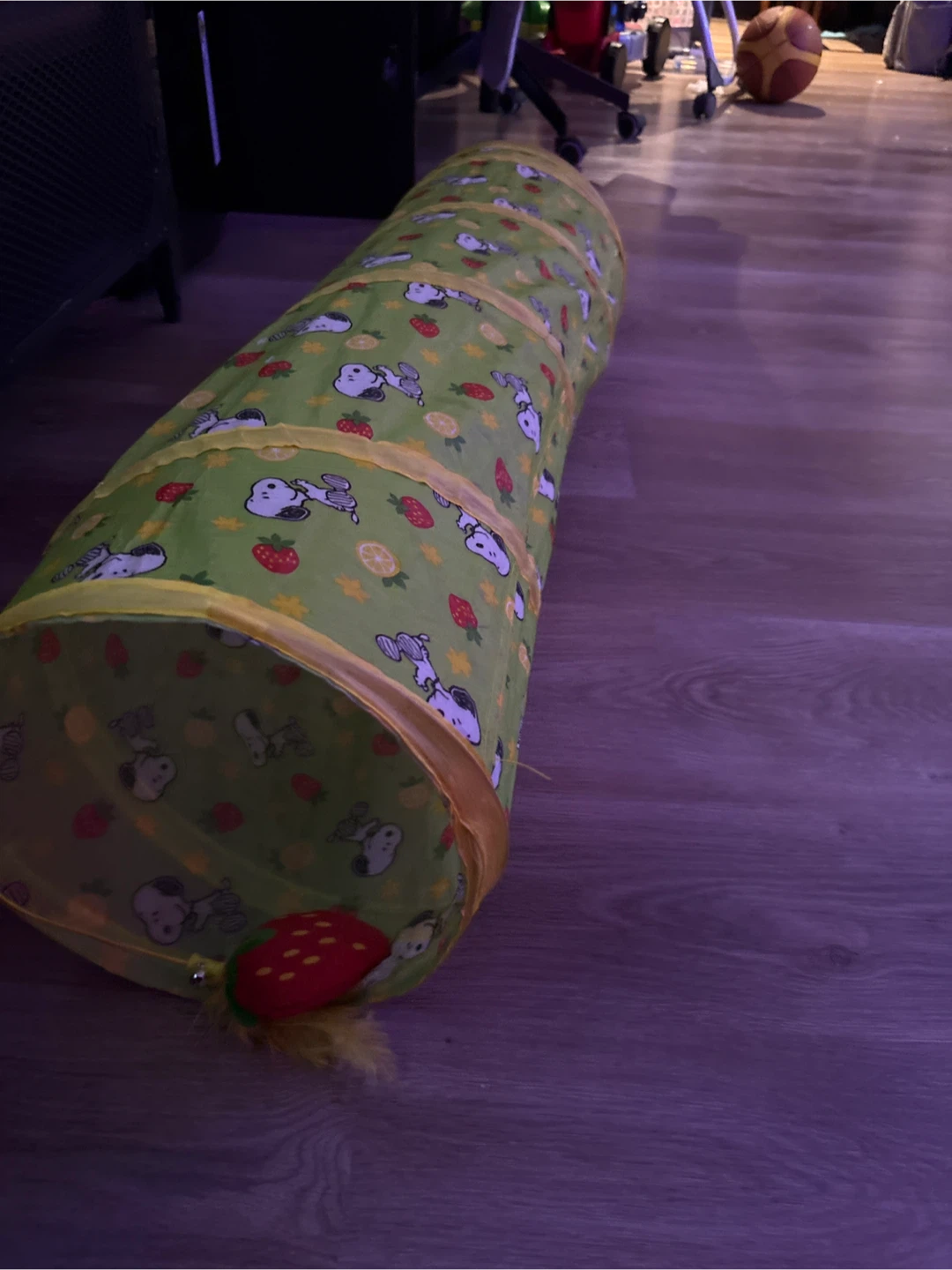 Snoopy Cat Tunnel