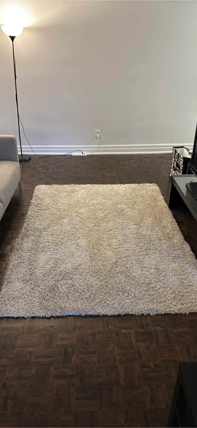 Shag Rug - Beige