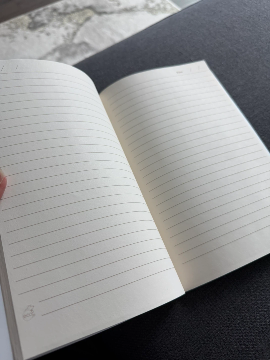 GREAT CONDITION Google lined notebook - photo 2