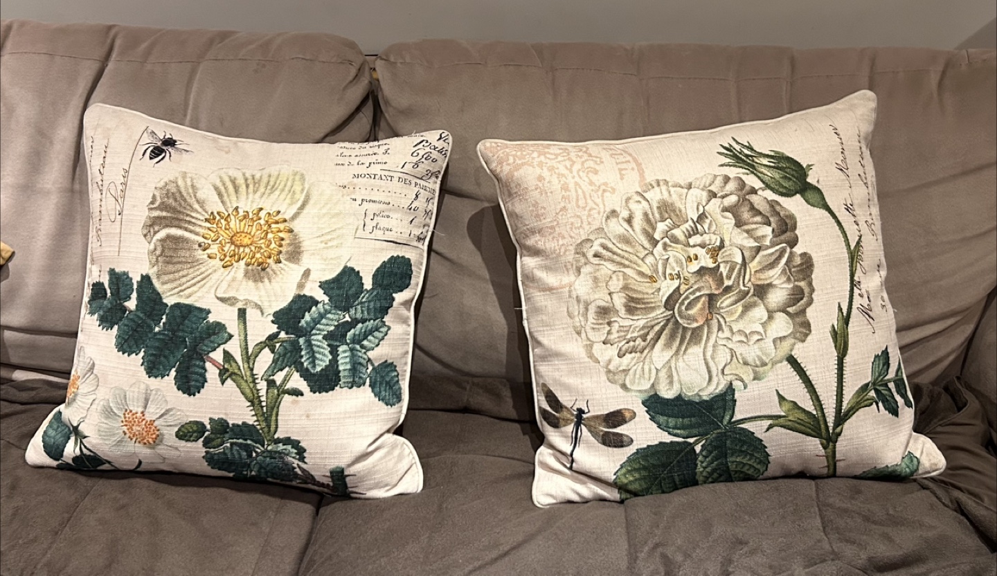 Floral Throw Pillows/ cushions - Set of 2