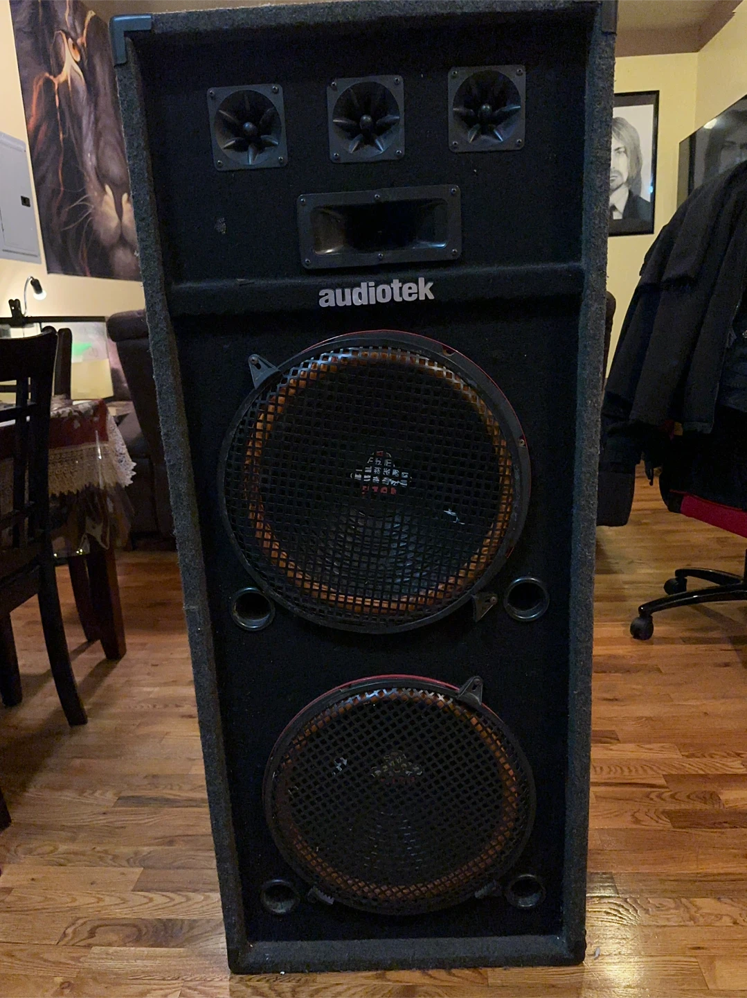 Audiotek PA Speaker 2 18 inch’s