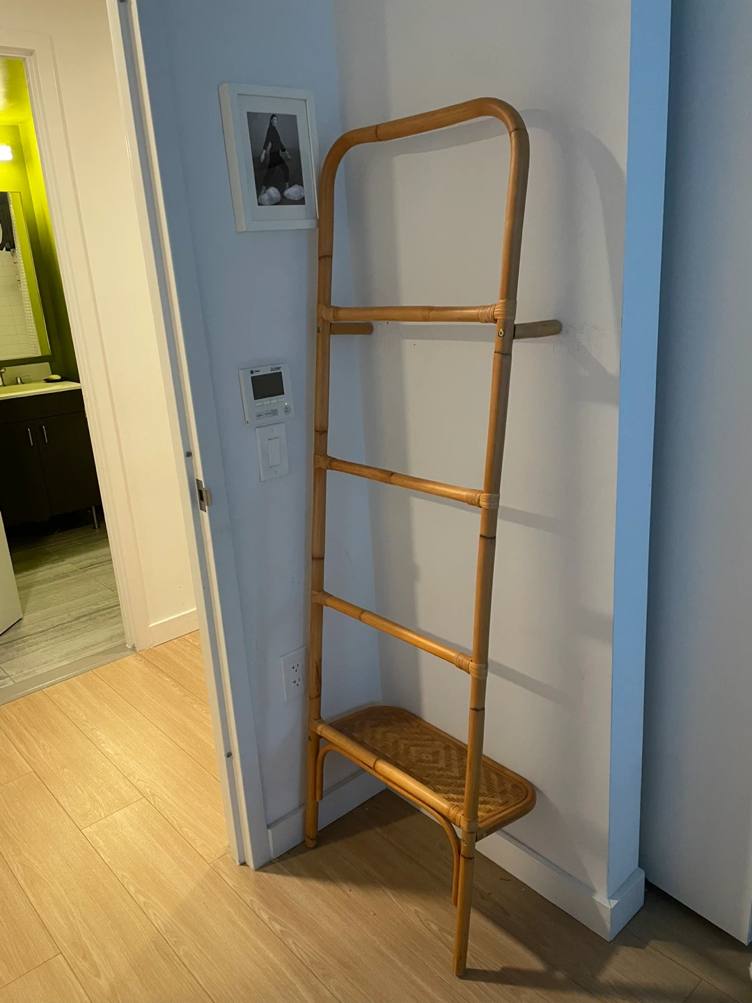 Urban Outfitters Carina Rattan Ladder Shelf