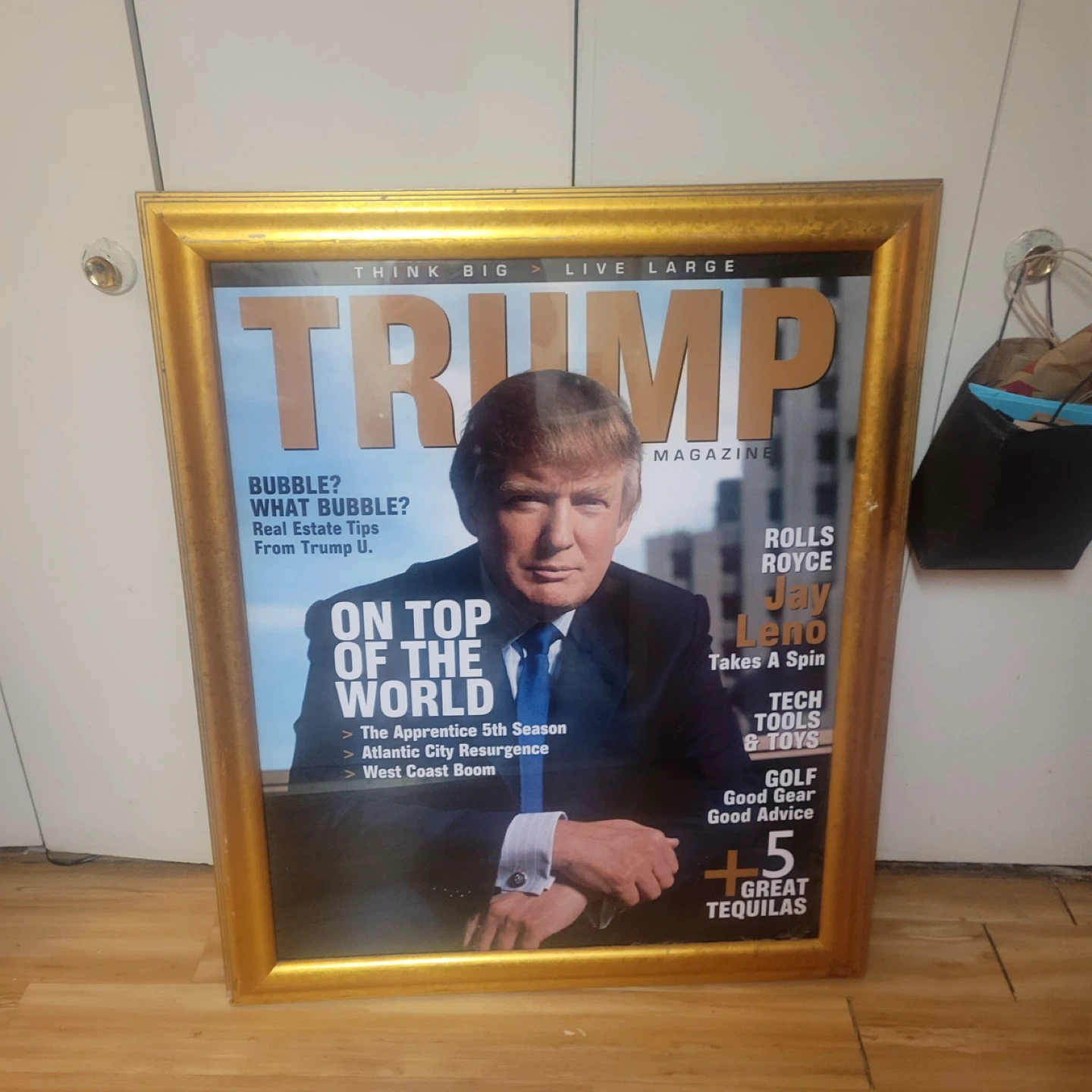 Trump picture frame