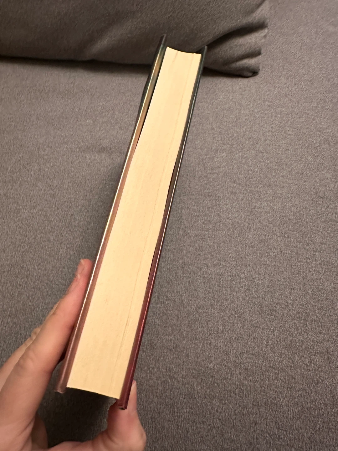 The Capital of Dreams by Heather O'Neill - photo 3