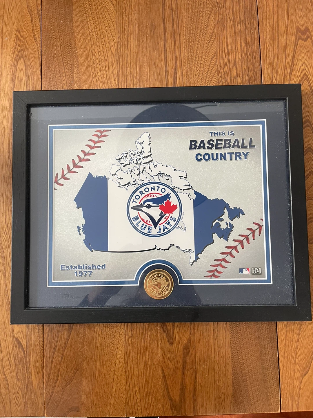 Toronto Blue Jays Framed Bronze Coin and Print Highland Mint 🥕