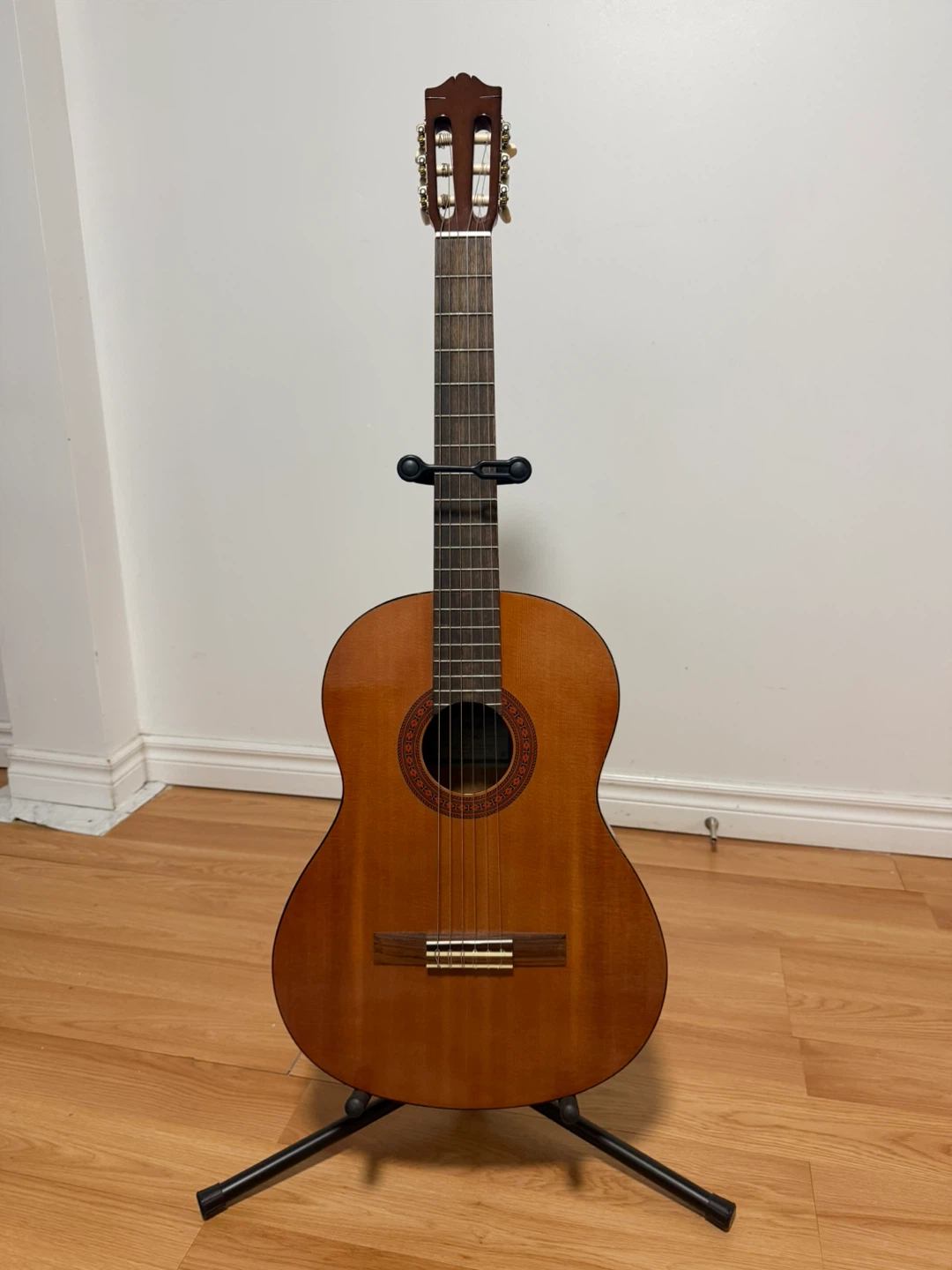 Classical Guitar-Yamaha C40