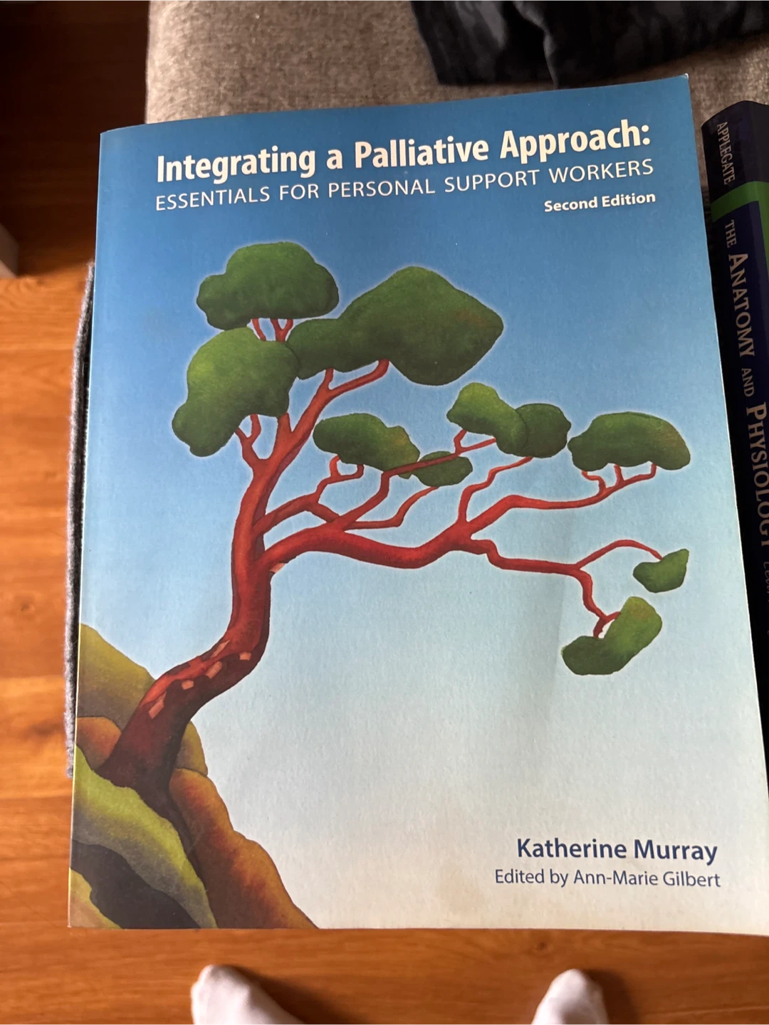 Integrating a Palliative Approach Book