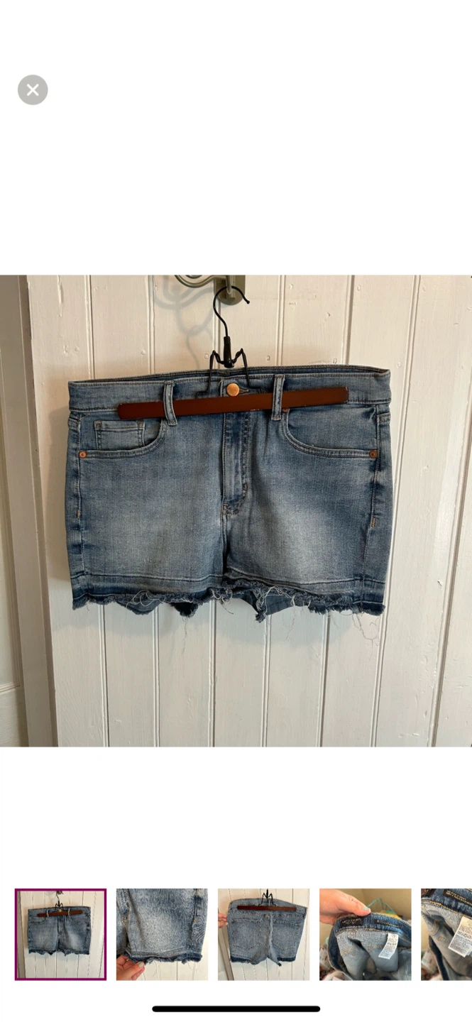 Banana Republic Denim Lux 31 Shorts