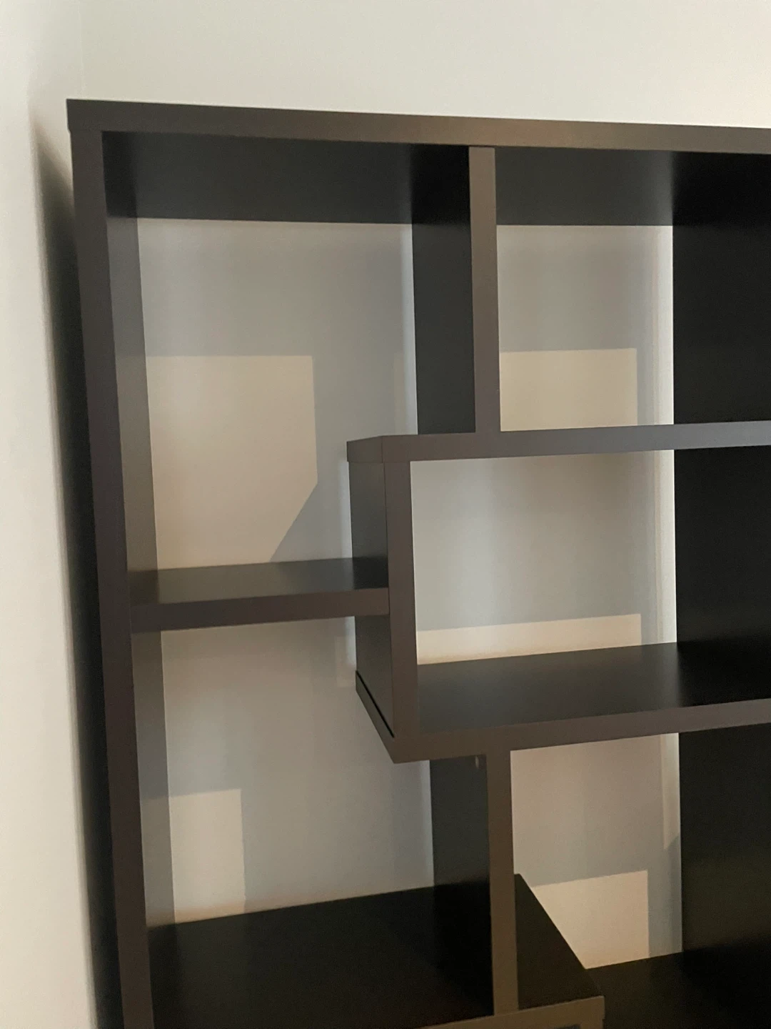 🥕Modern Black Bookshelf