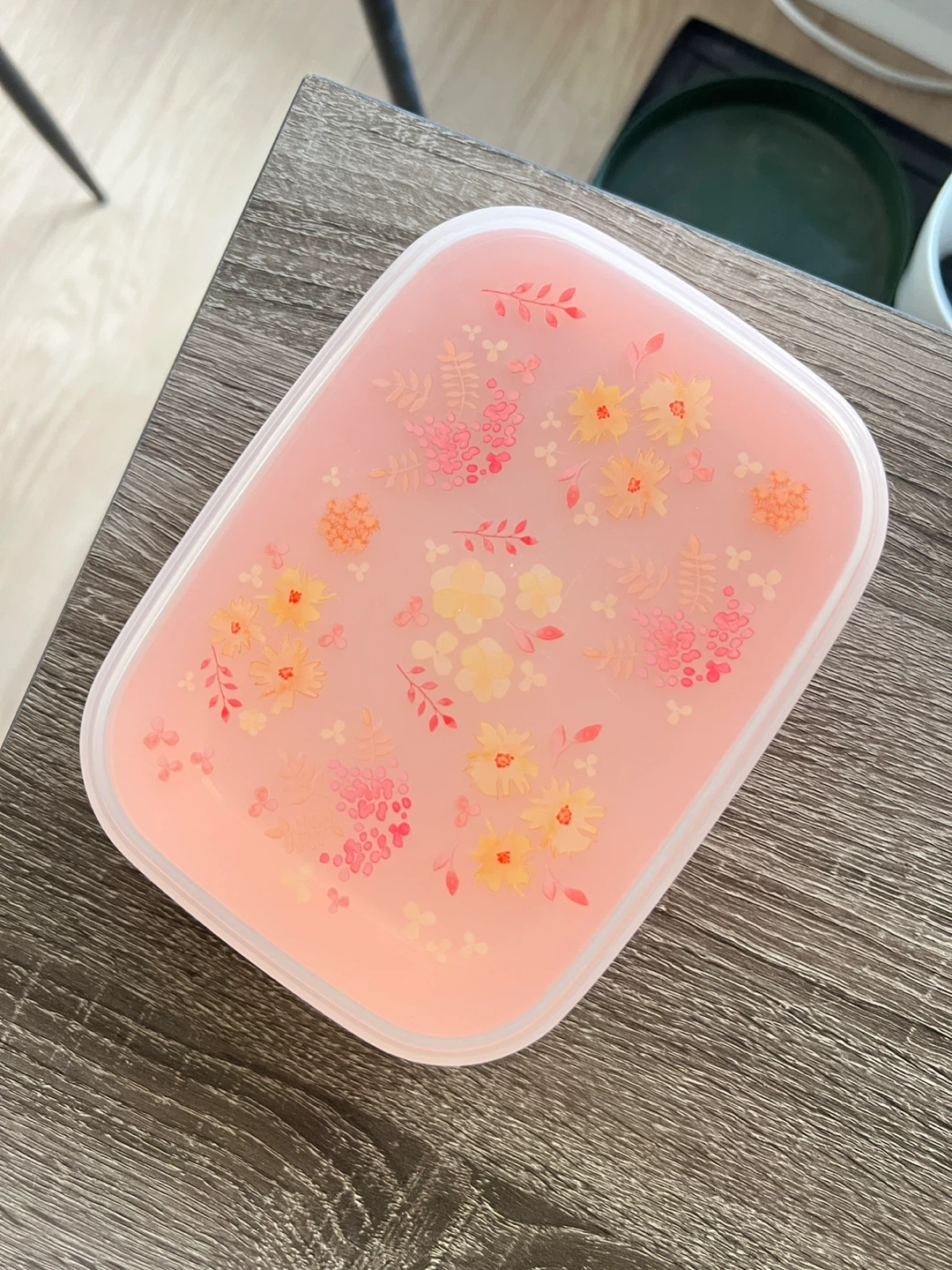 Japan food storage container