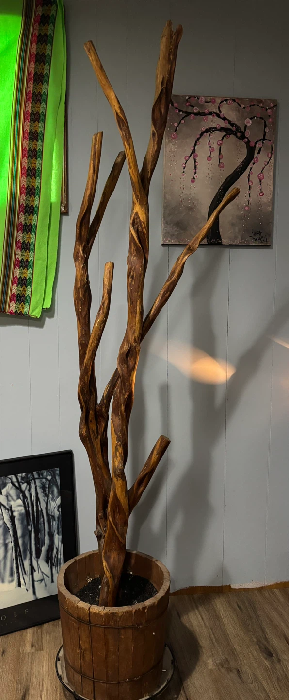 Decorative Tree Branch in Wood Planter
