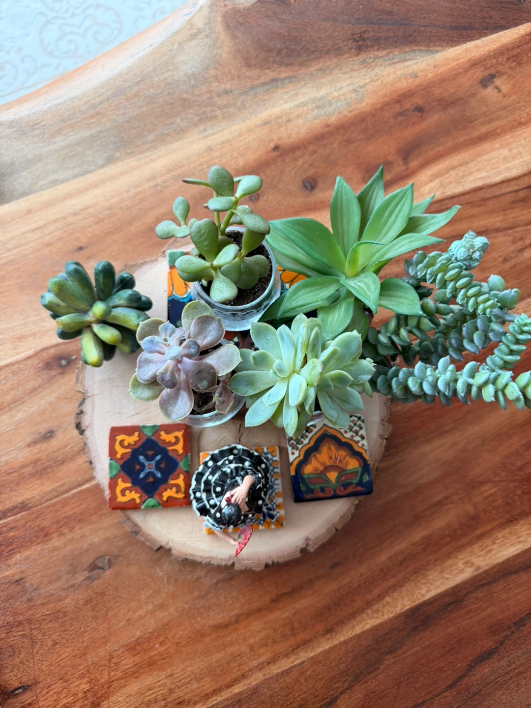 Succulent Planter Centerpiece🏆 - photo 2