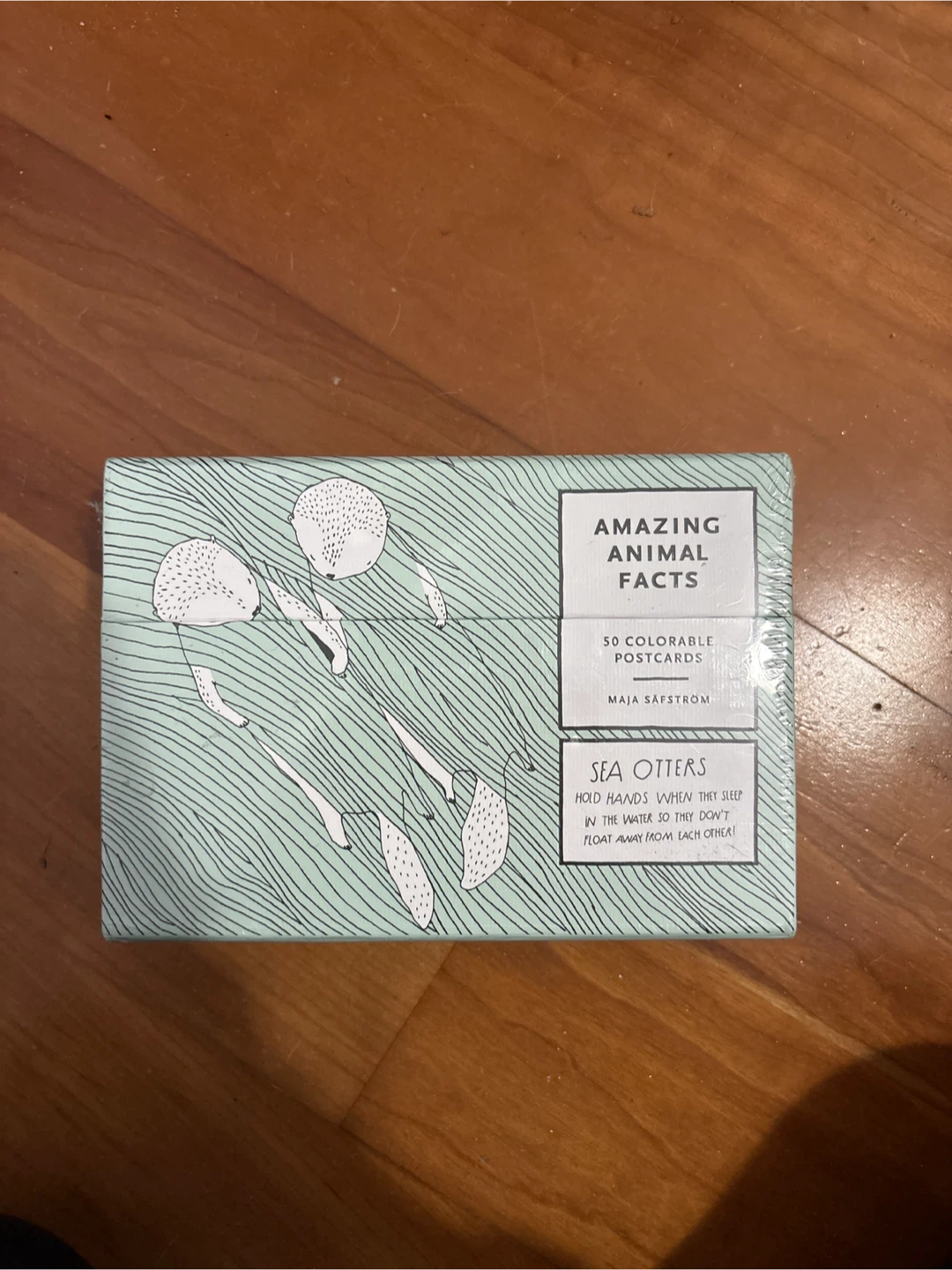 Animal Colourable Postcards
