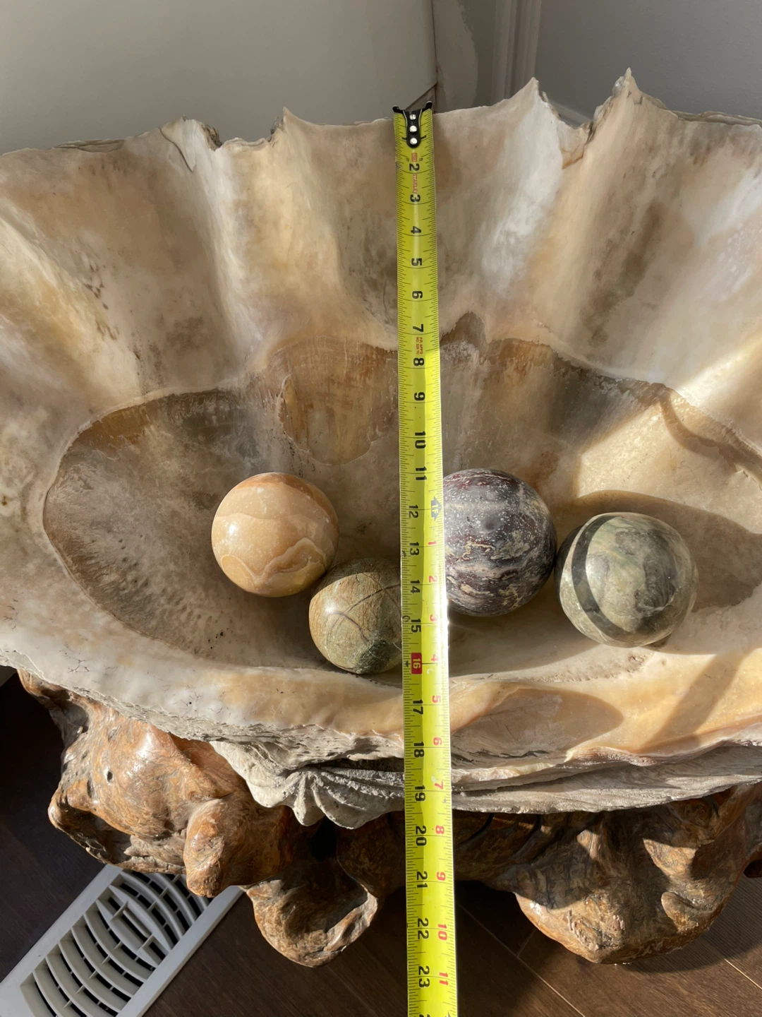 Giant Clam Shell with Stone pearls and custom wooden base - photo 2