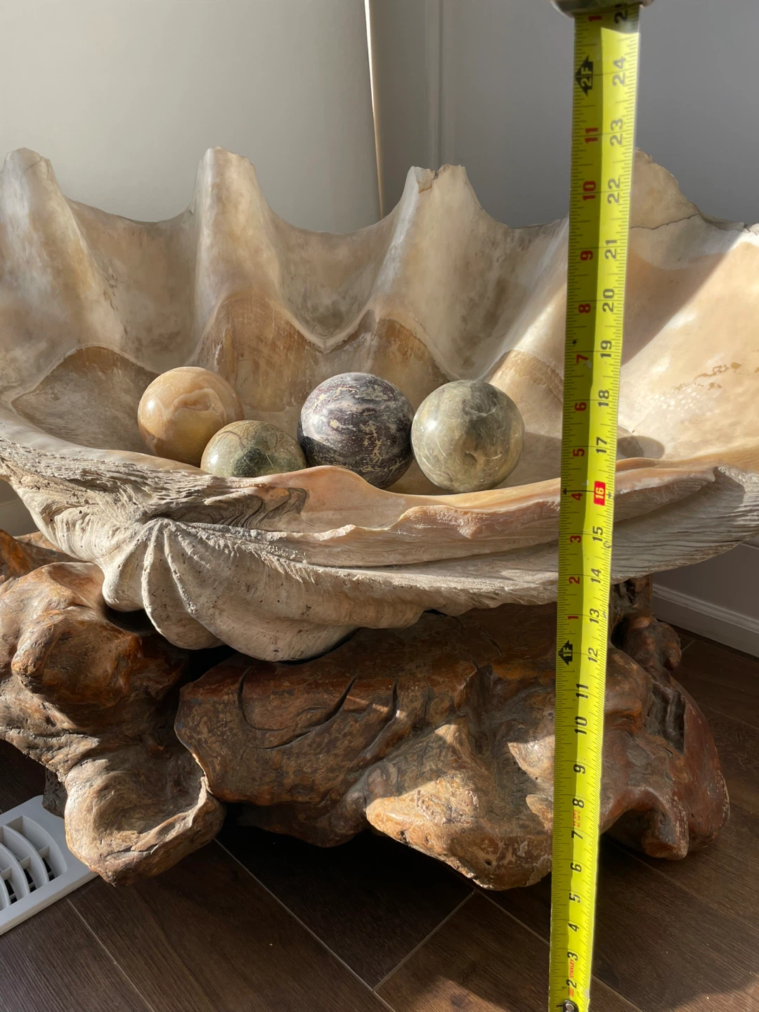 Giant Clam Shell with Stone pearls and custom wooden base - photo 3