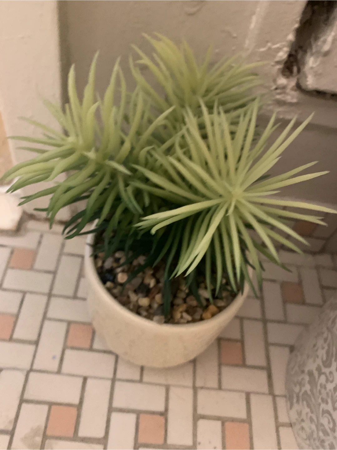 Assorted Artificial Plants - photo 4