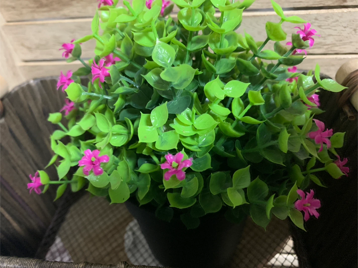 Assorted Artificial Plants - photo 5