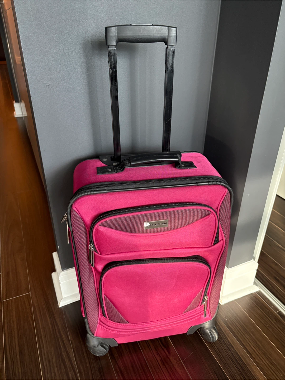 🧳 Pink Carry-On Suitcase
