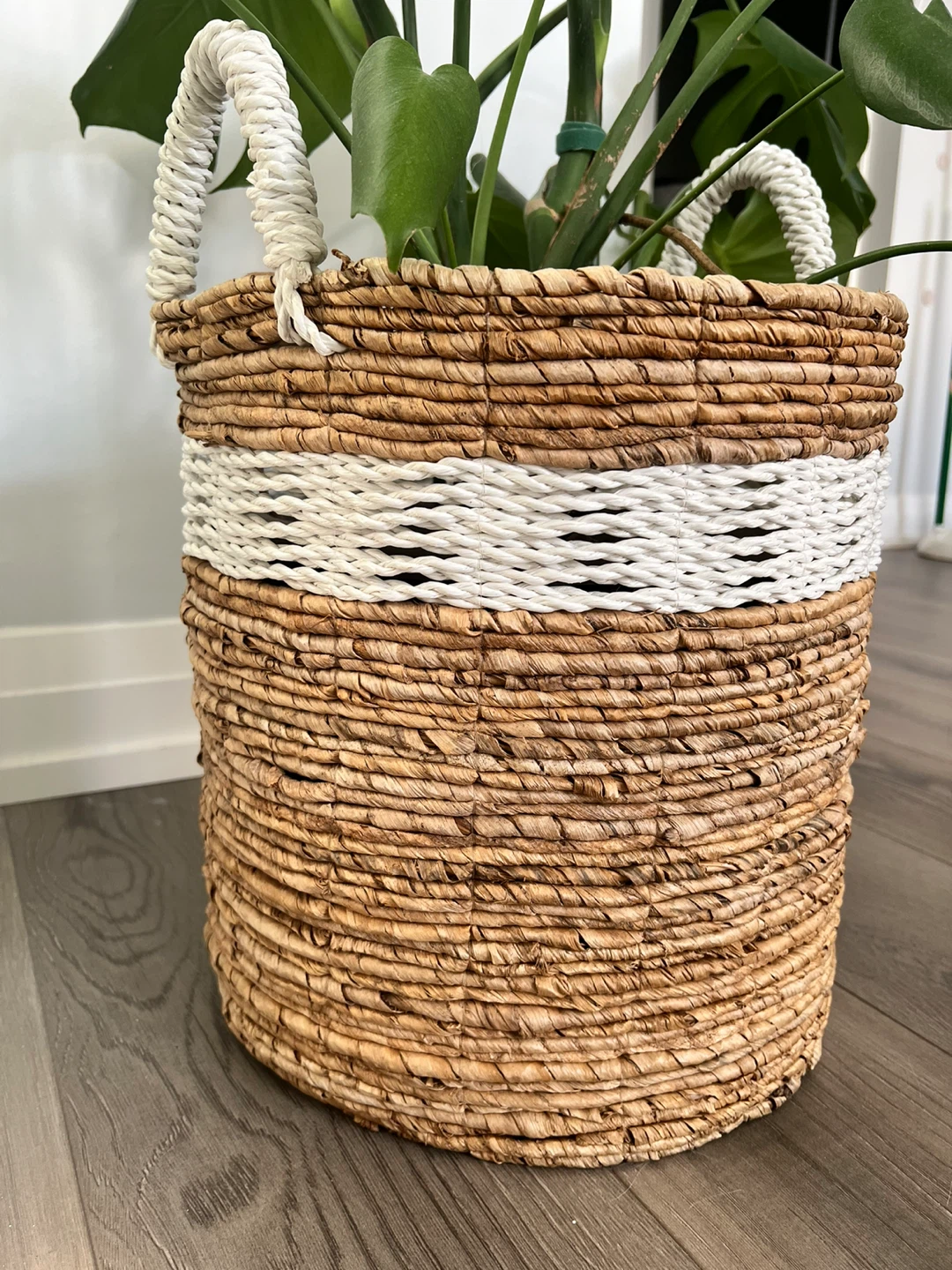 Moving sale— Large monstera deliciosa + woven basket - photo 4