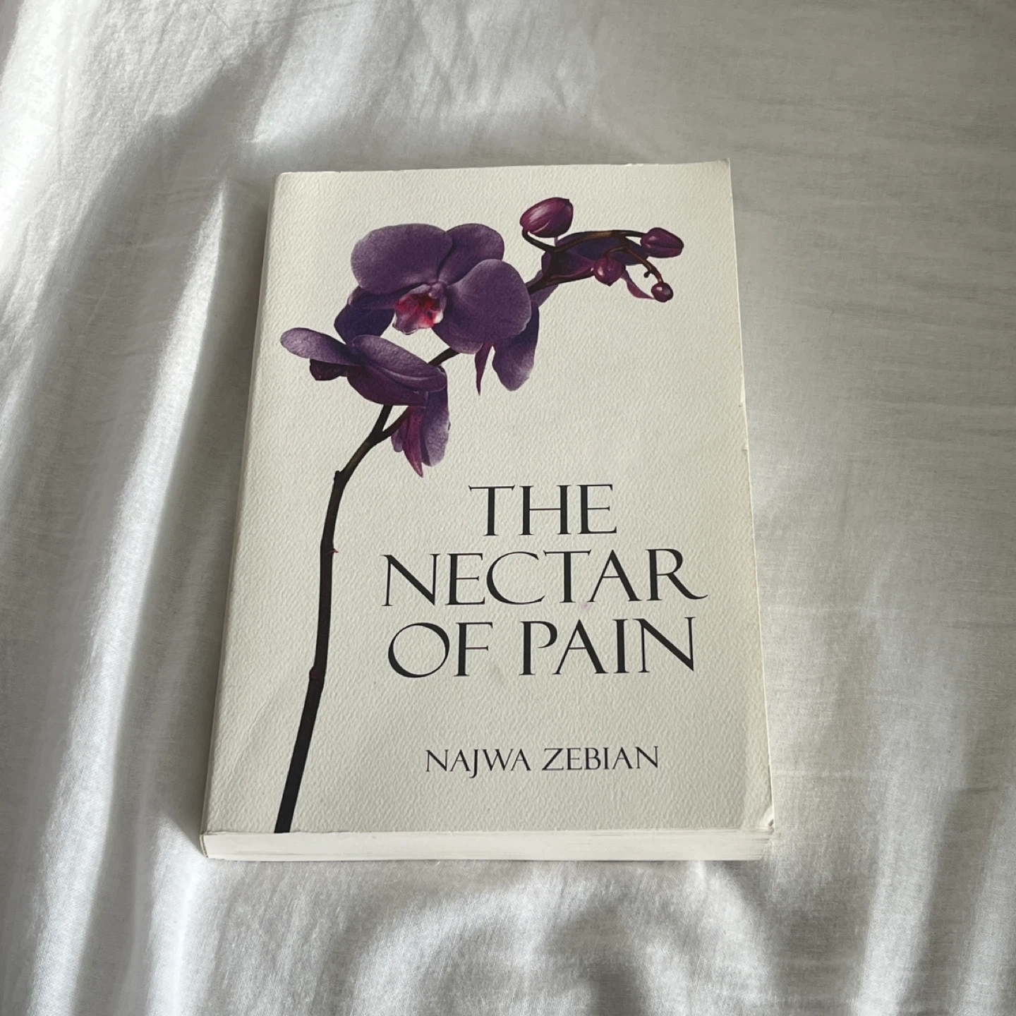 The Nectar of Pain by Najwa Zebian
