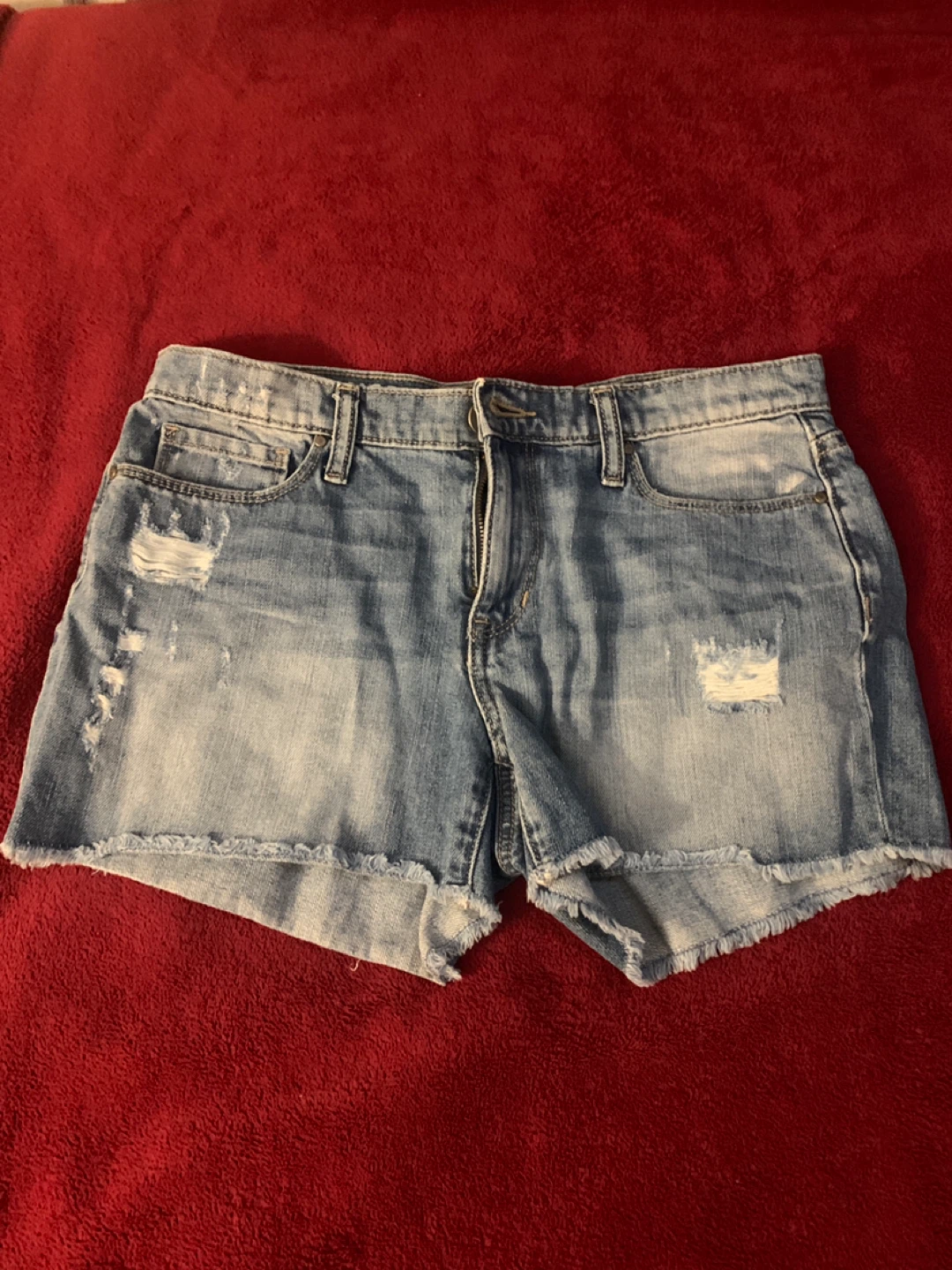 DKNY Jeans Fleecker Boyfriend Denim Shorts