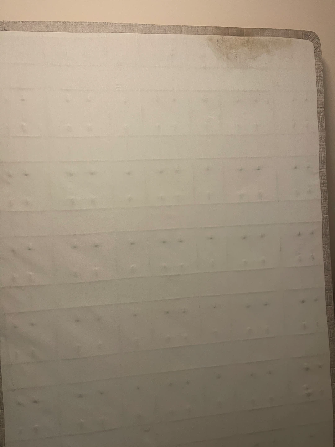 Queen box spring - photo 4