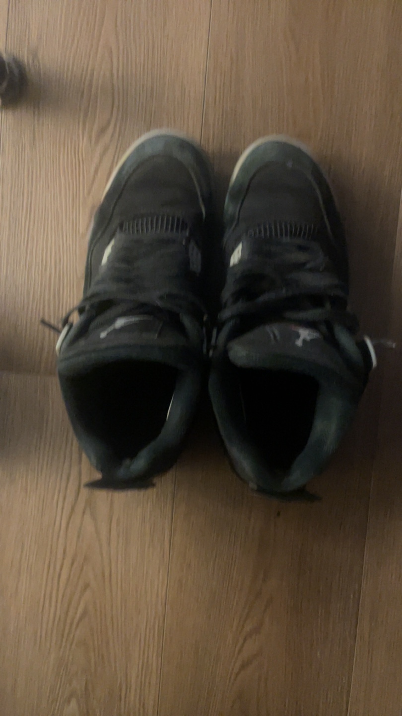 Jordan 4 Black Canvas
