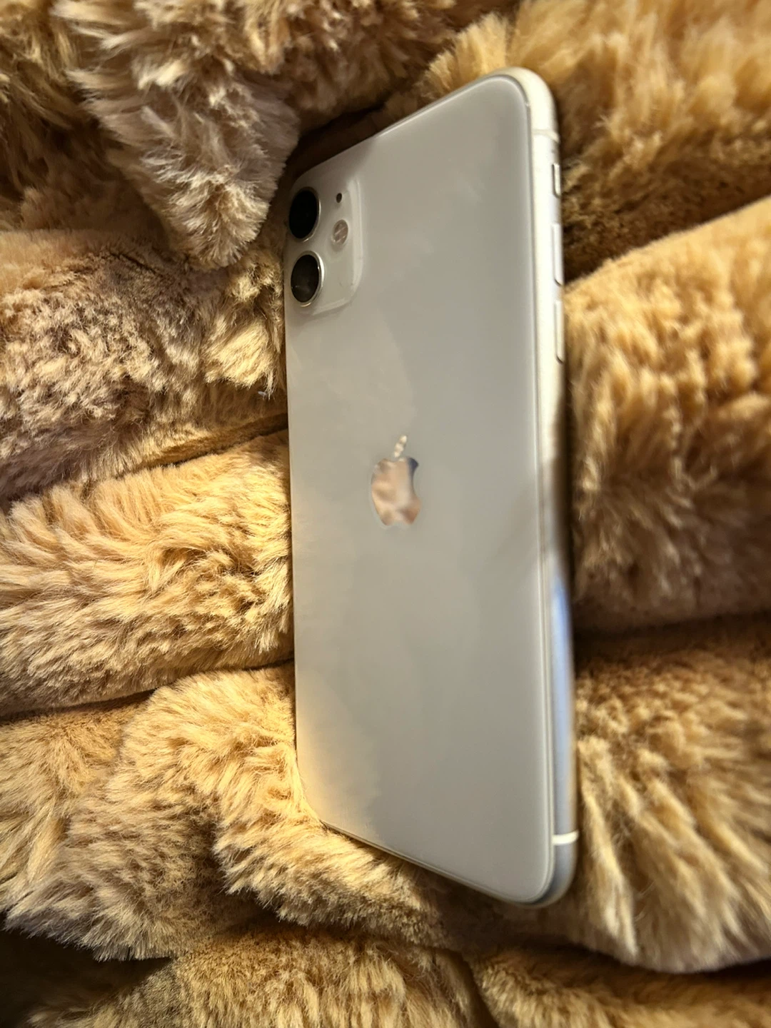Apple iPhone 11 Plus - White - photo 3