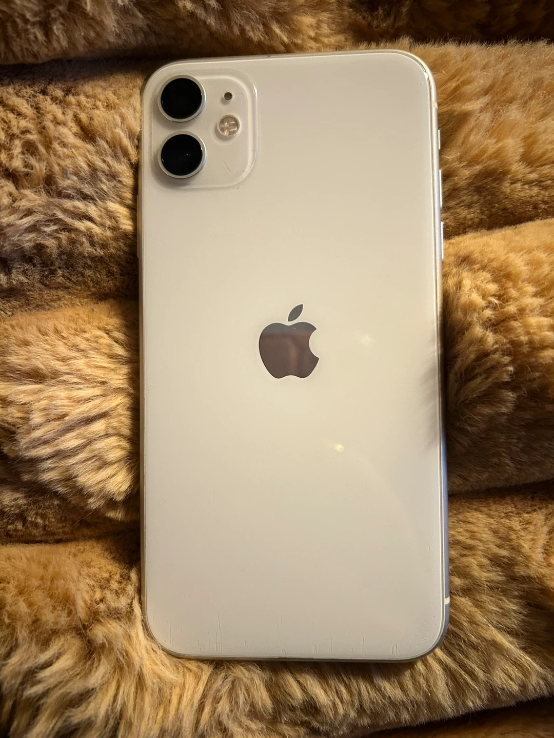 Apple iPhone 11 Plus - White - photo 2