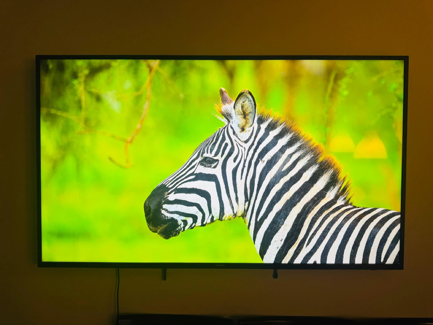 Samsung Smart TV
